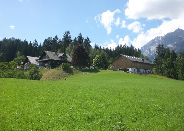 Bio Bauernhof Leitenmueller