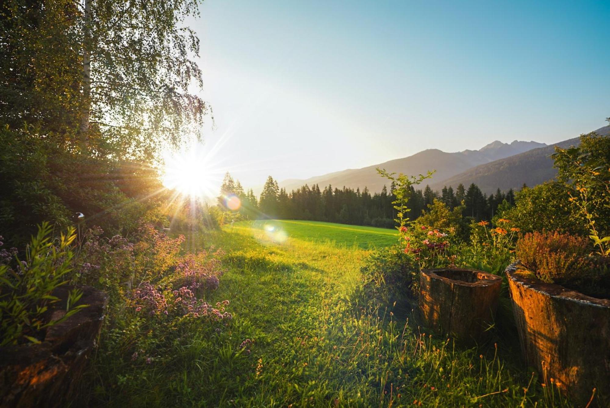 Bio Bauernhof Leitenmueller * Ramsau am Dachstein