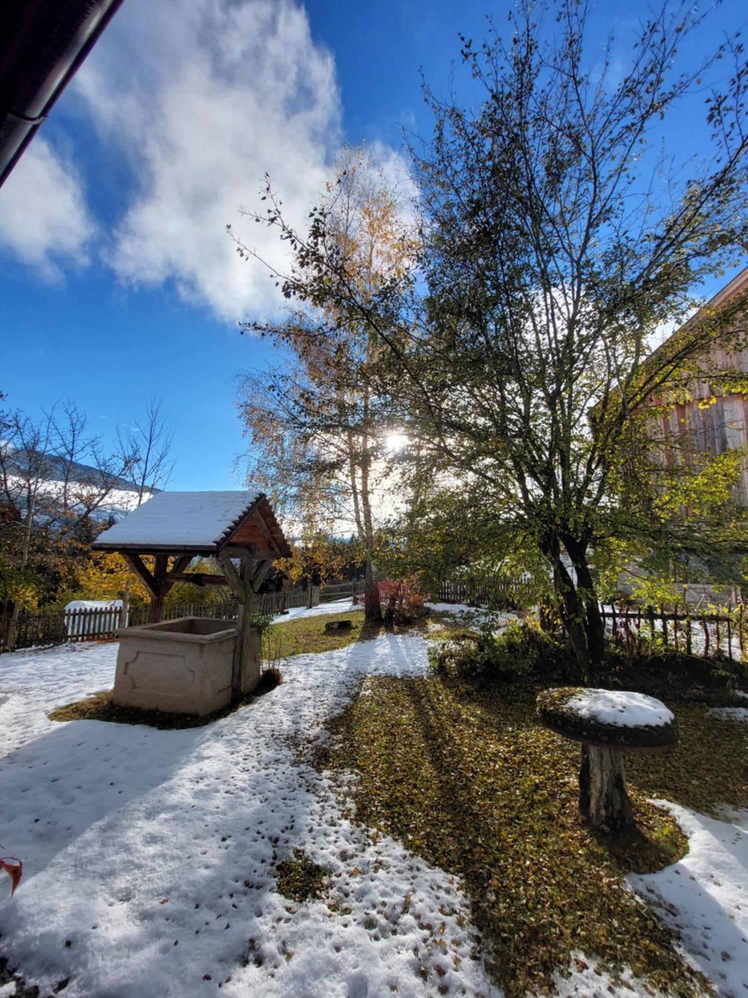 Apartment Bio Bauernhof Leitenmueller Ramsau am Dachstein