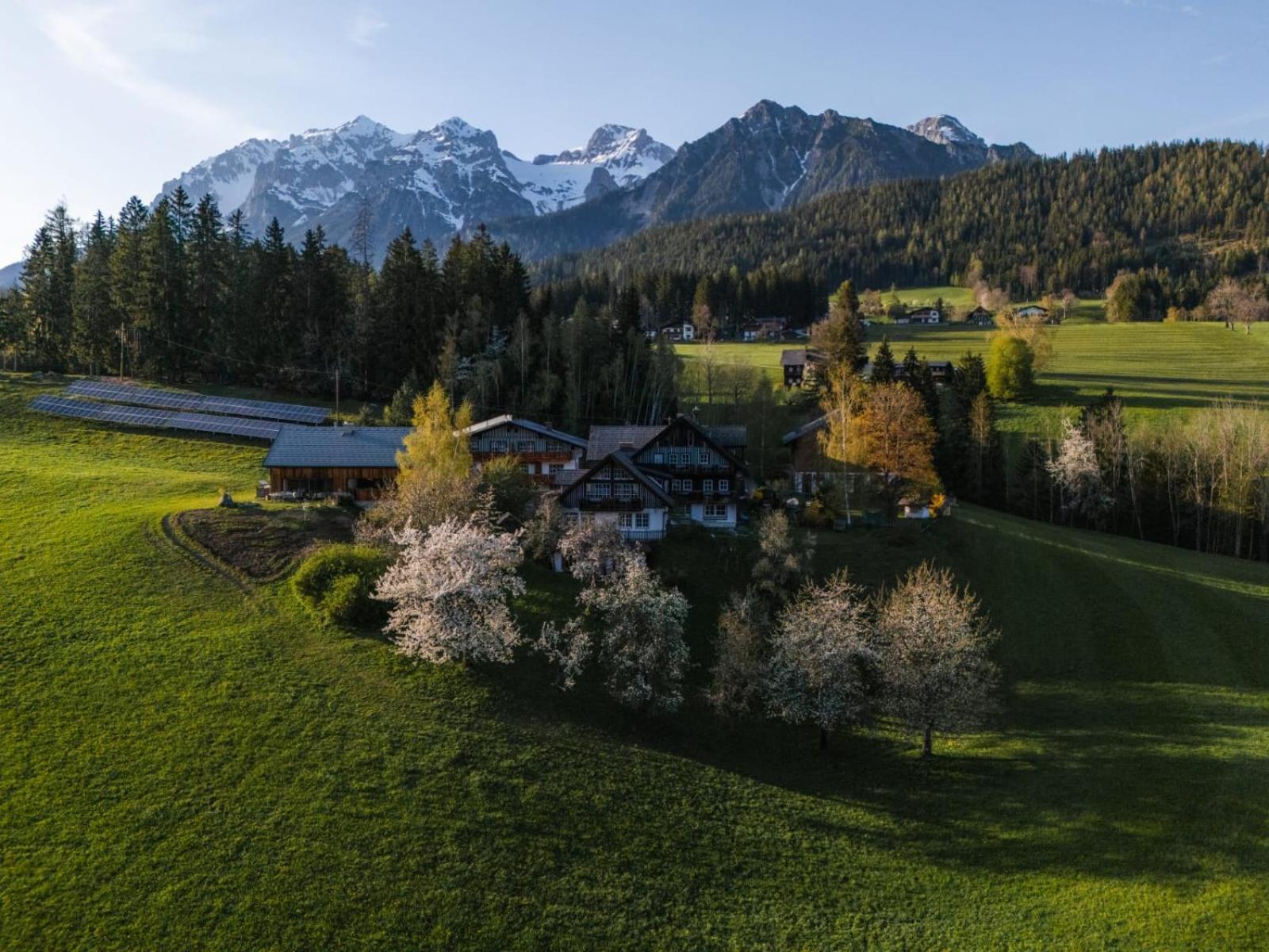 Bio Bauernhof Leitenmueller Apartment Ramsau am Dachstein