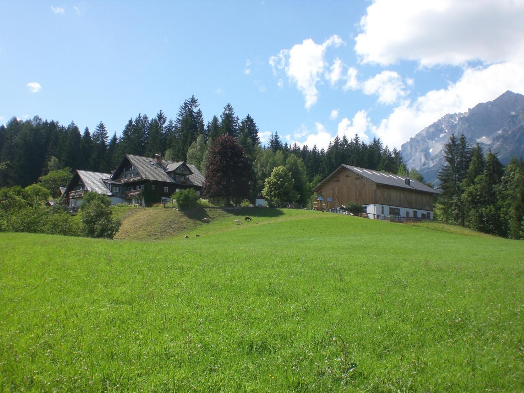 Apartment Bio Bauernhof Leitenmueller
